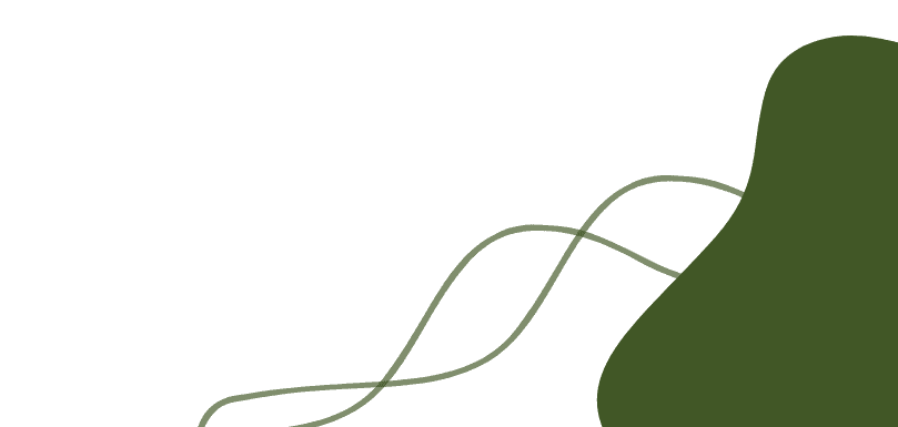 PHAN THỊ QUỲNH ANH