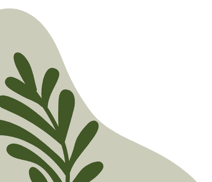 PHAN THỊ QUỲNH ANH