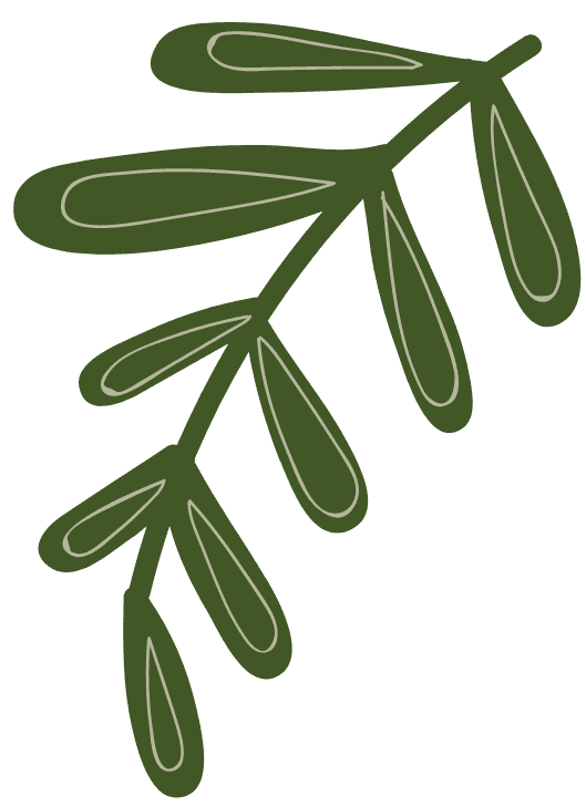 PHAN THỊ QUỲNH ANH